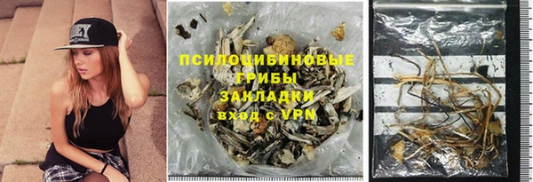 молекула духа Новокубанск
