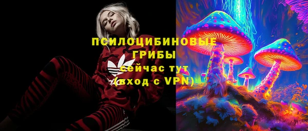 молекула духа Новокубанск