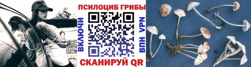 Галлюциногенные грибы мицелий Великий Новгород