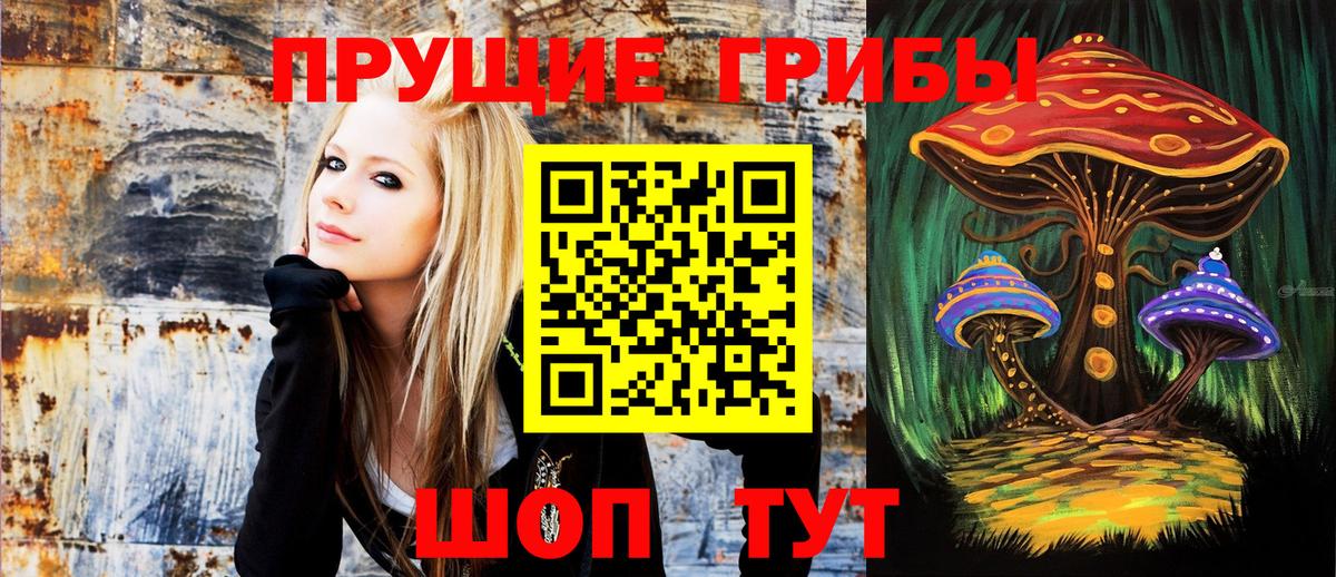 Великий Новгород  Псилоцибиновые грибы Cubensis  Вход с VPN 